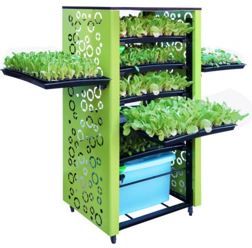 Automatic Seedlings Cultivation