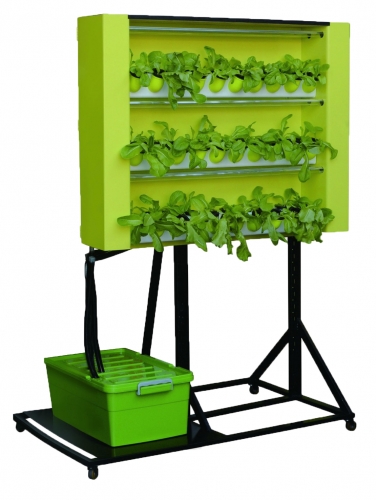 Wall-Mounted Hydroponics for 60 Holes