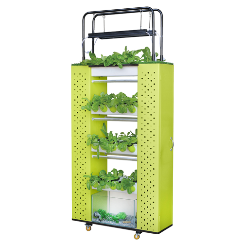 Vertical Vegetable Stand of Aquaponics for 70 holes