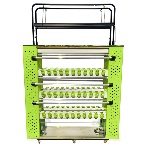 Vertical Vegetable Stand of Aquaponics for 154 holes