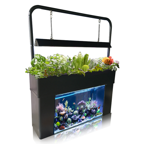 AquaSmart