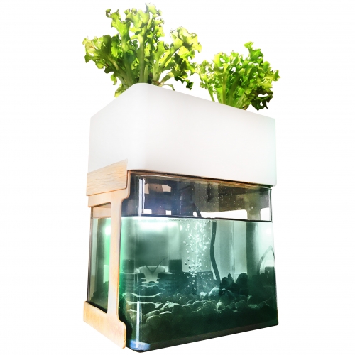 White tabletop aquaponics - small