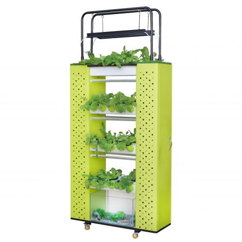 Vertical Vegetable Stand of Aquaponics for 70 holes