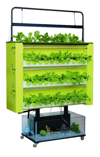 flagship Stand of Aquaponics for 88 holes